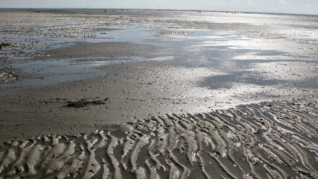 2014 Ile de Noirmoutiers (174)